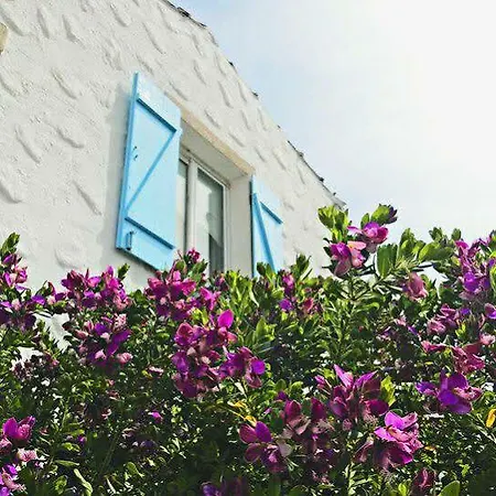 Zeren 3* אלאקאטי