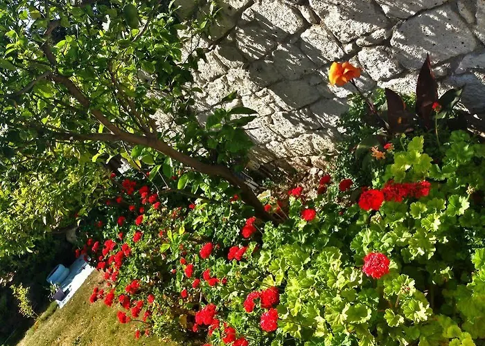 Zeren 3* Αλακάτι