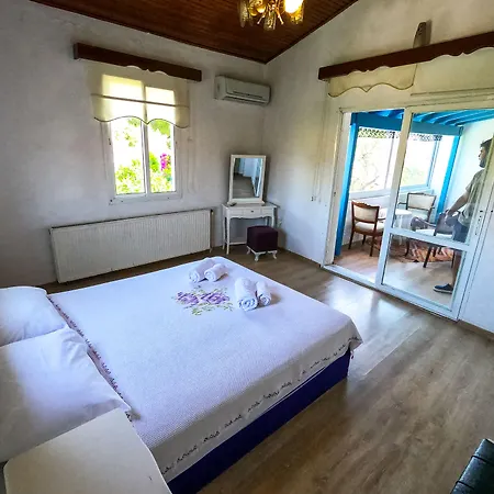 Zeren 酒店 阿拉恰特